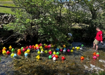 Want to support mountain rescue? Take part in a virtual Lake District duck race