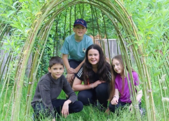 Forest School Experience on offer for youngsters this summer in Cumbria