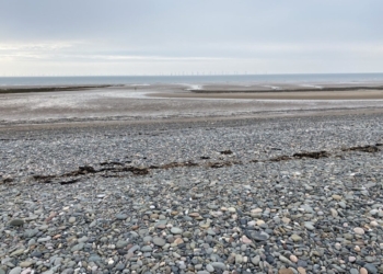 Pioneering Cumbrian marine conference to be held