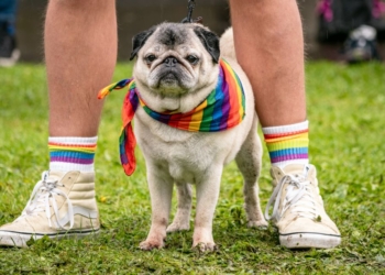 Kendal Pride aims to brighten up Auld Grey Town