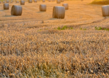 Are Cumbrian farmers prepared for the changes in Inheritance Tax?