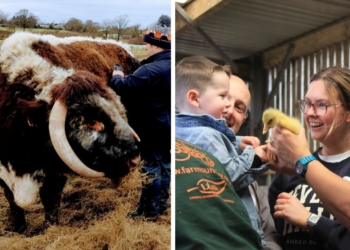 Go behind the scenes at north Cumbrian farm this weekend
