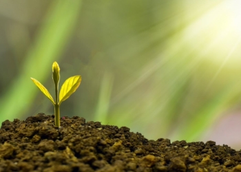 Is it time to review your profitability and cash flow?
