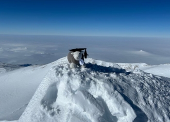 Little Herdy’s big Antarctic adventure