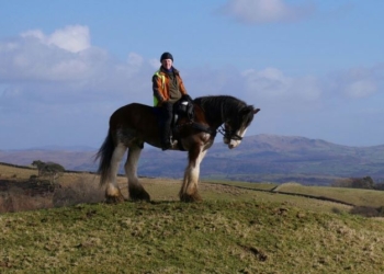 Cumbria Tourism Award winners revealed