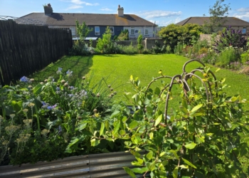 Before & after: Cumbrian garden turned into backyard oasis