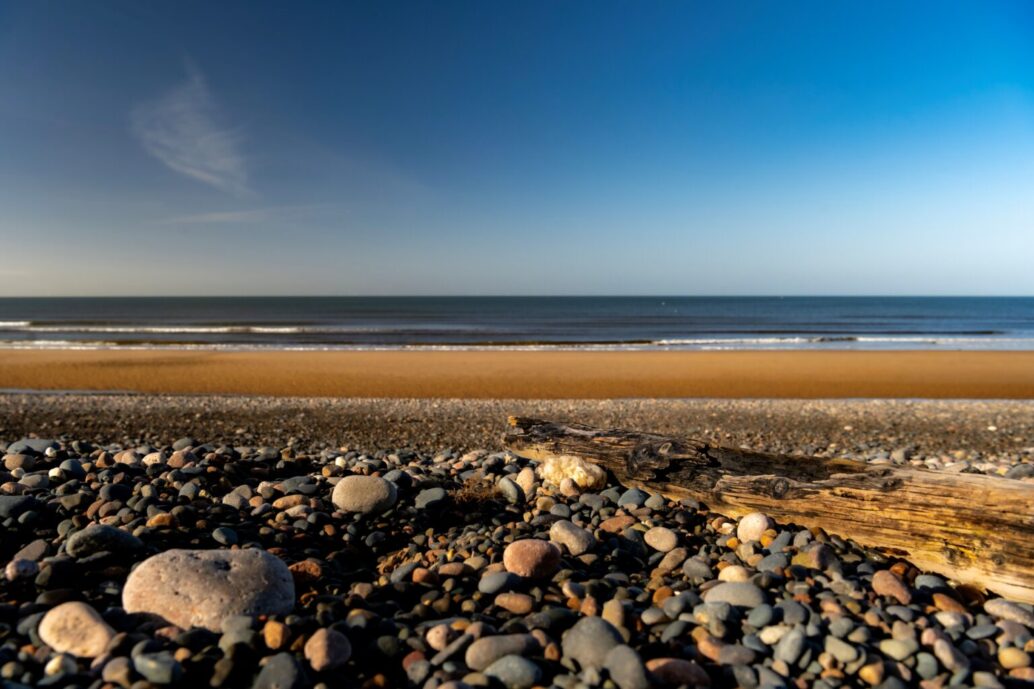 nuclear-waste-firm-begins-latest-coastal-bird-survey-work