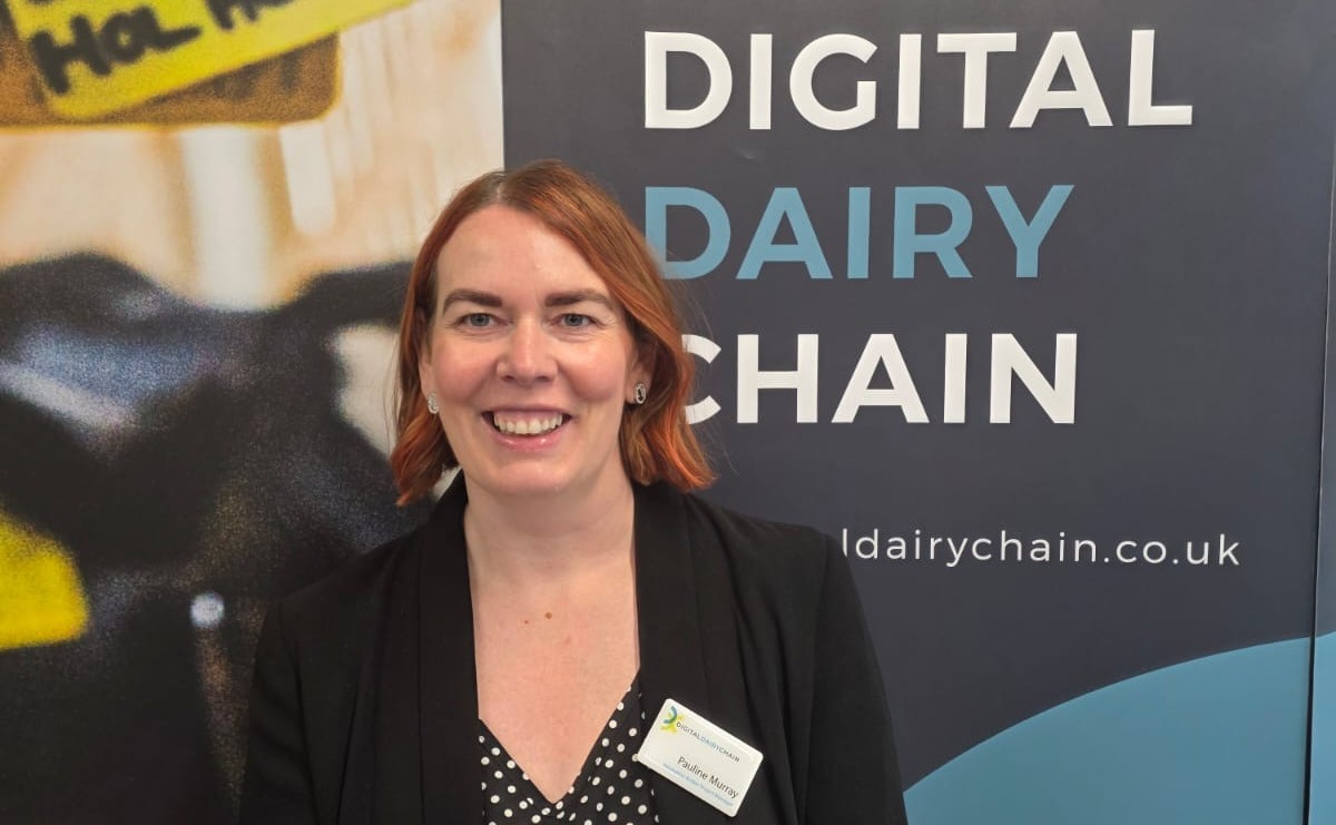 new-dairy-chain-programme-director-appointed