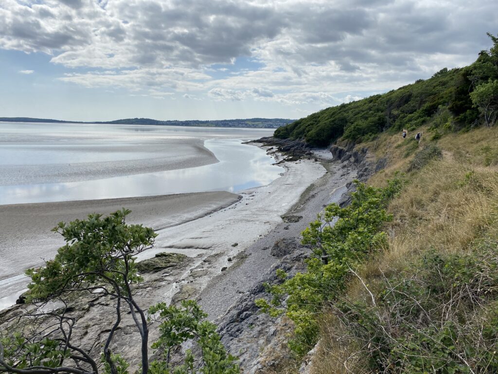 Five-year plans to manage Arnside & Silverdale landscape