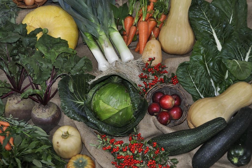 Harvest festival to celebrate Cumbrian farmers
