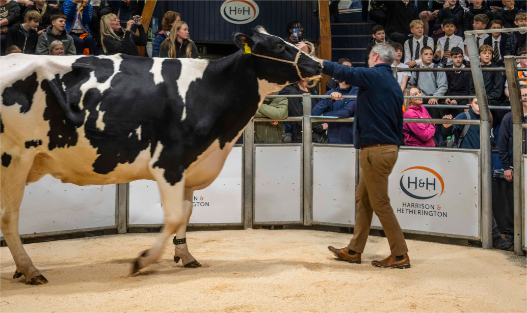 dairy-industry-demonstrates-opportunities-to-young-audience