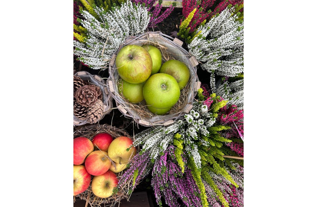 Apple Weekend returns to Beetham Nurseries