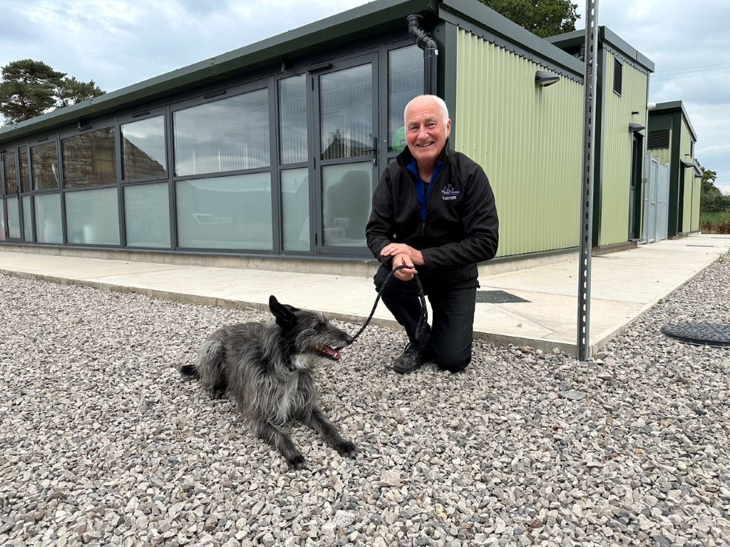 Pop-up shop to help raise funds for animal charity’s kennels