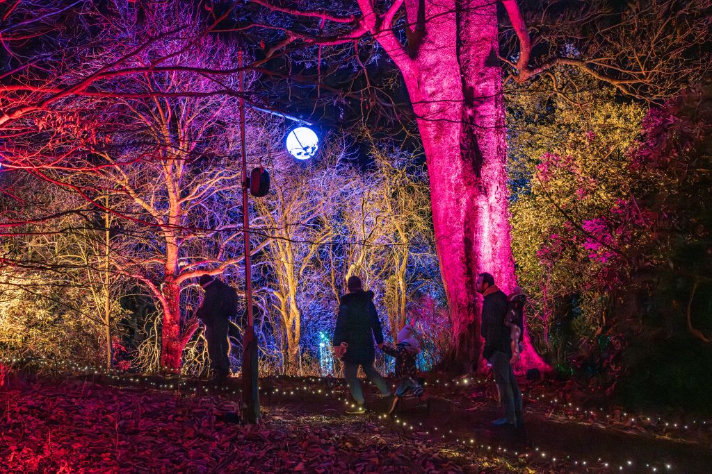 Lake District festive fun for all this Christmas from the National Trust
