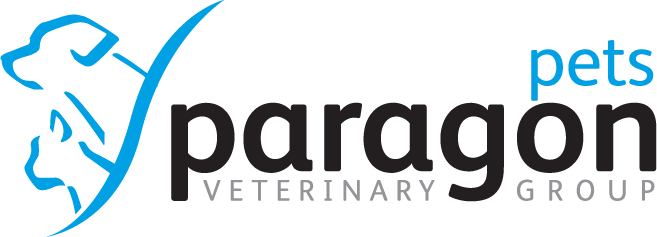 Paragon Vets