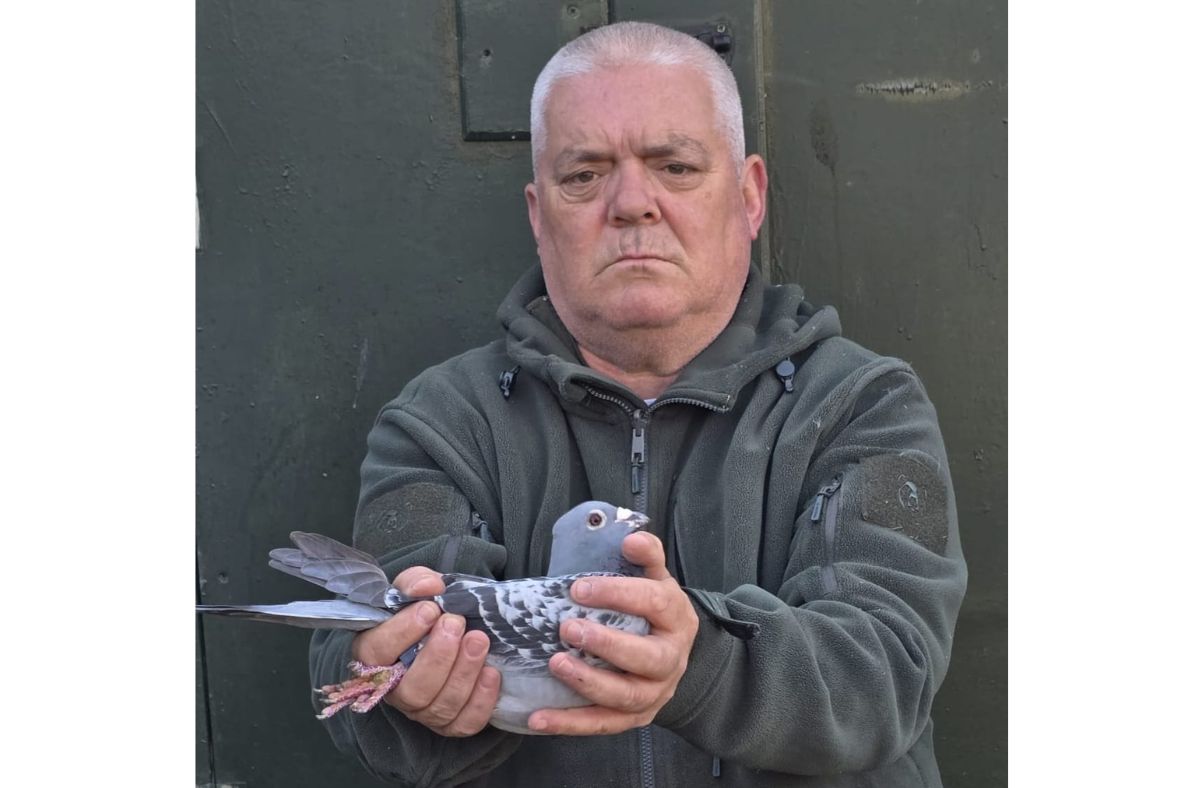 Good racing for West Cumbrian pigeon fanciers