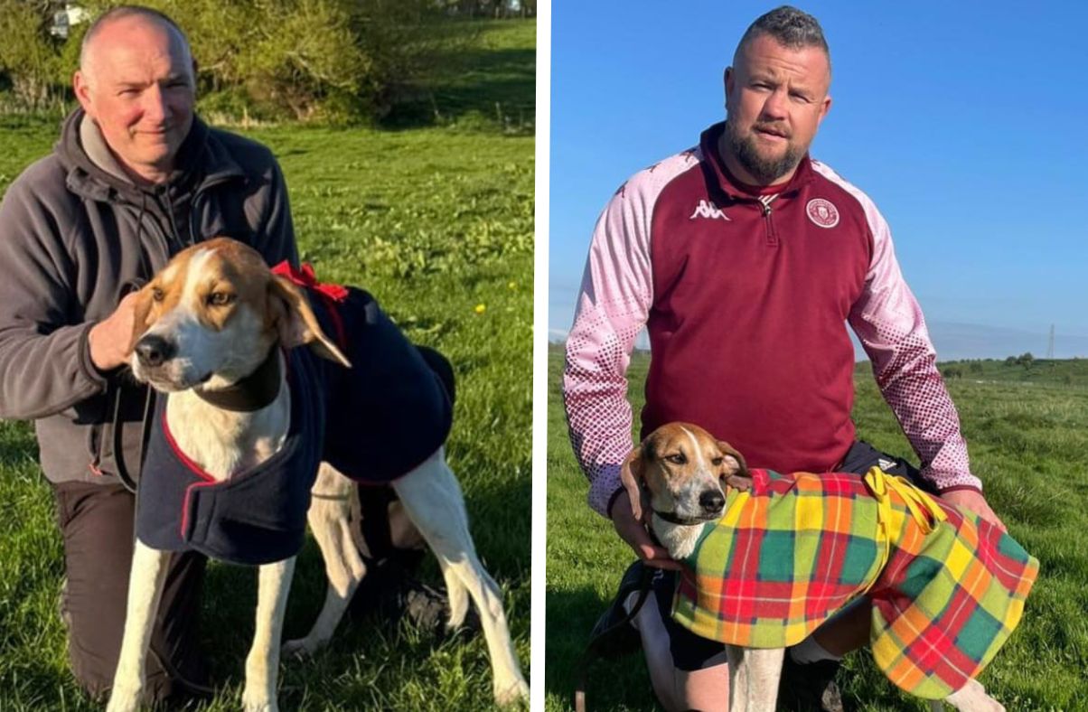 Hounds look at Gamelsby ahead of May Day meet