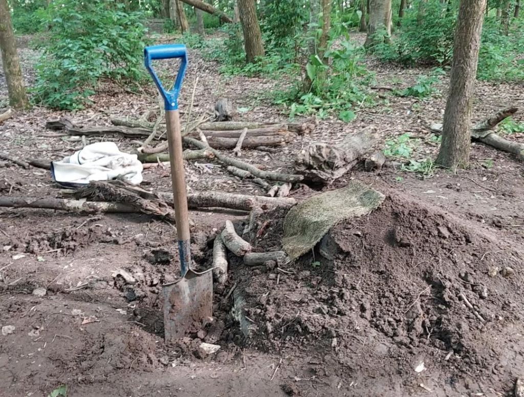 Youths sawing trees and digging in conservation area