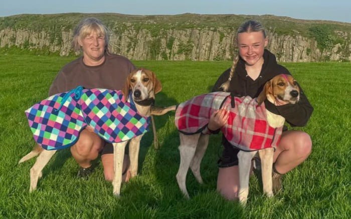 Hounds return to Steel Rigg