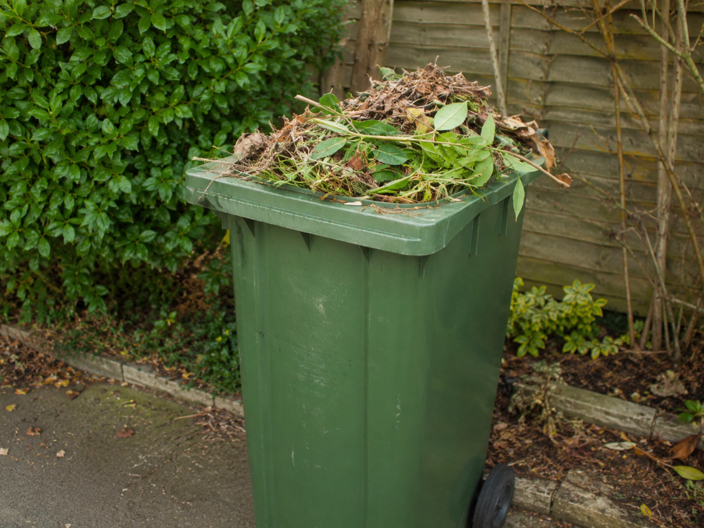 17,800 sign up so far for paid garden waste collection subscription