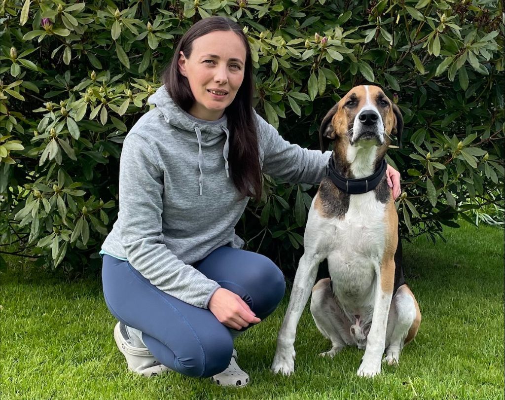 Dog’s lucky escape after being bitten by adder