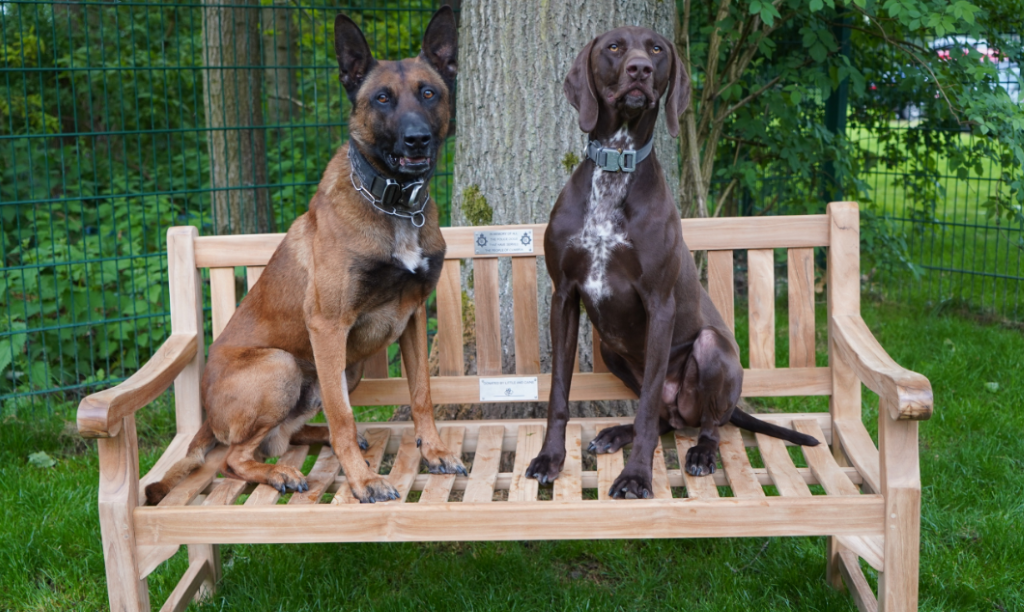 New memorial bench to honour Cumbria’s police dogs