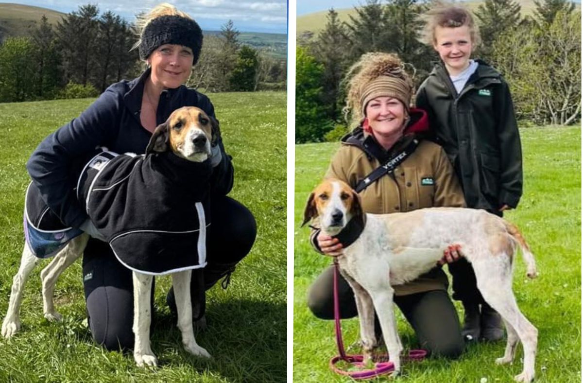 123 hounds turn out for Standing Stones