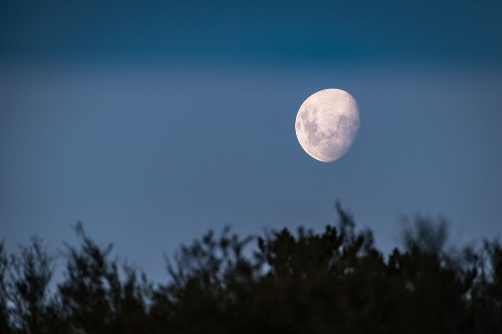 West Cumbrian moonlight walk for hospice to return this year