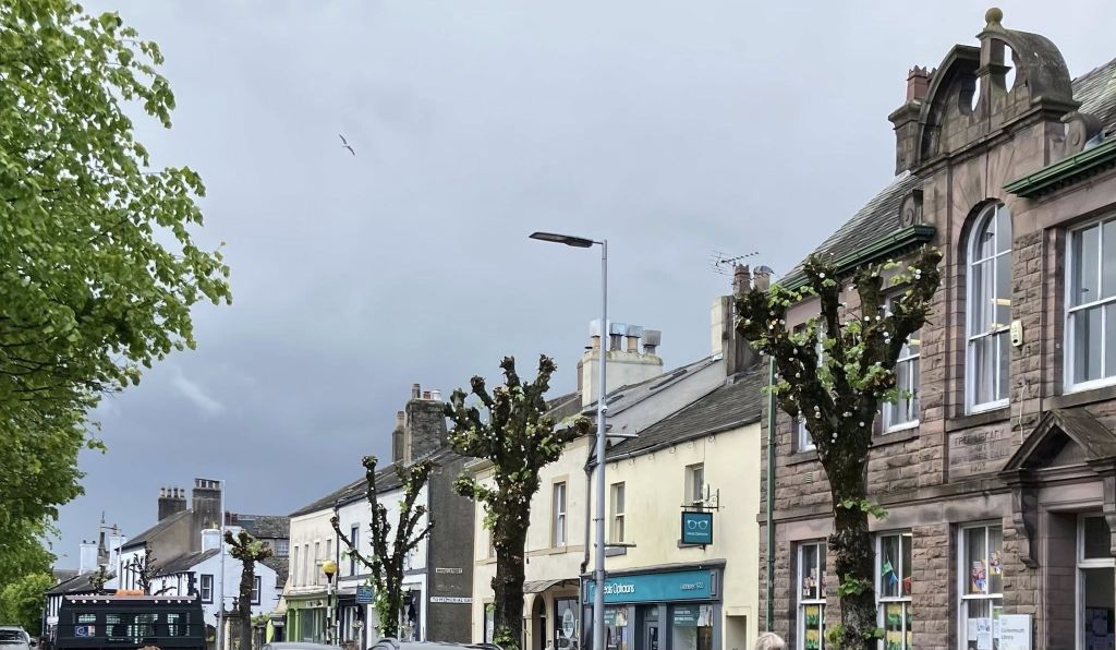 Outrage after trees heavily cut back in Cockermouth