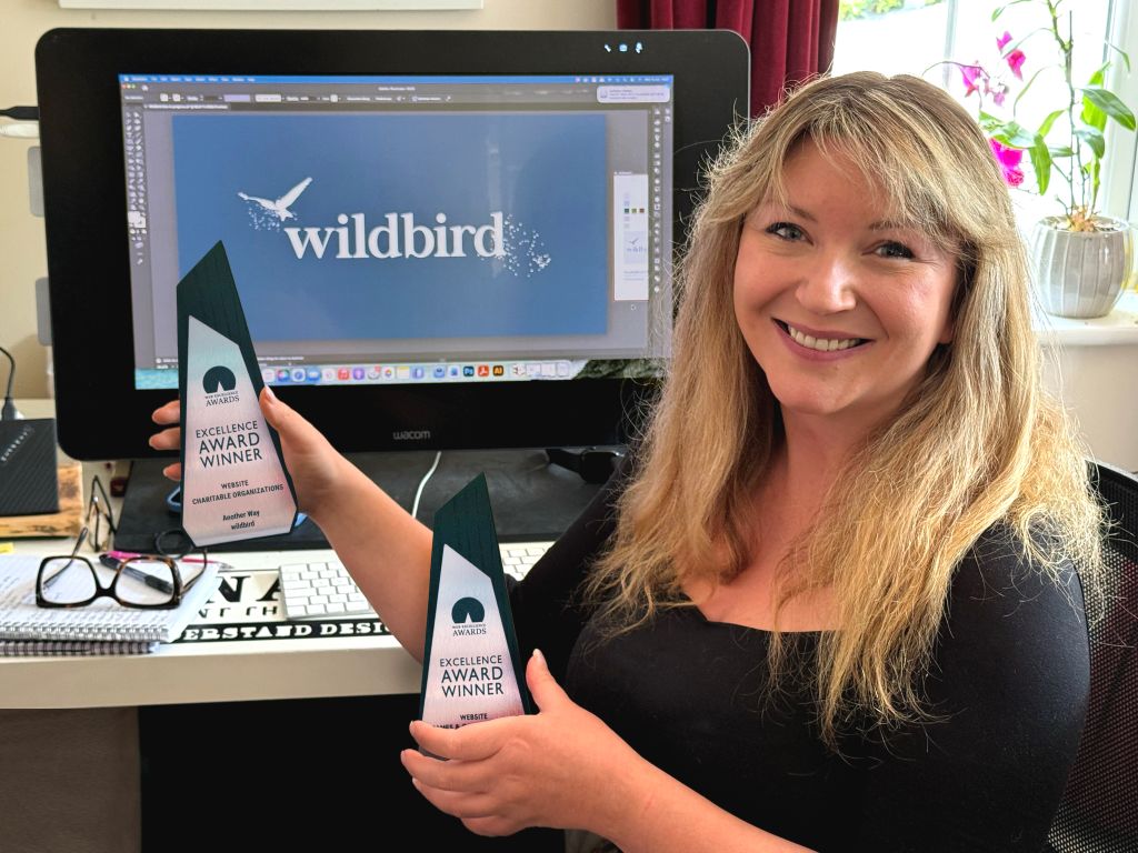 cumbrian-website-design-agency-lands-global-award-for-excellence