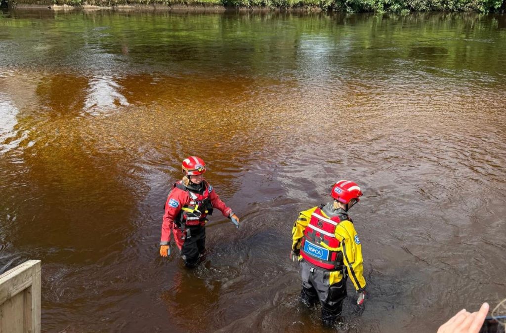 Appleby Horse Fair: River Eden access remains closed