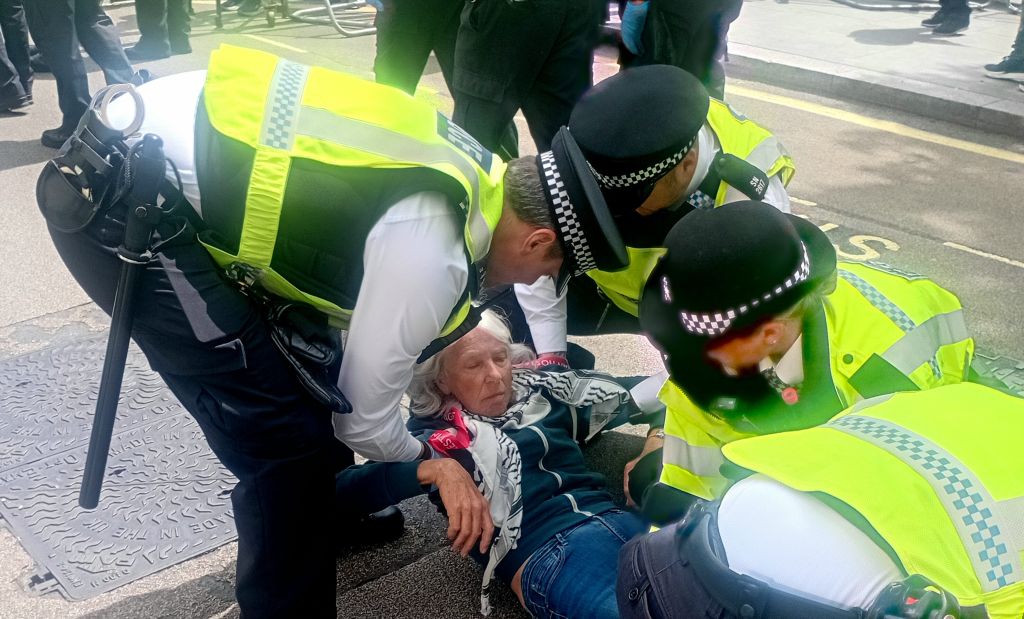 Three Cumbrians arrested at Palestine Action protests