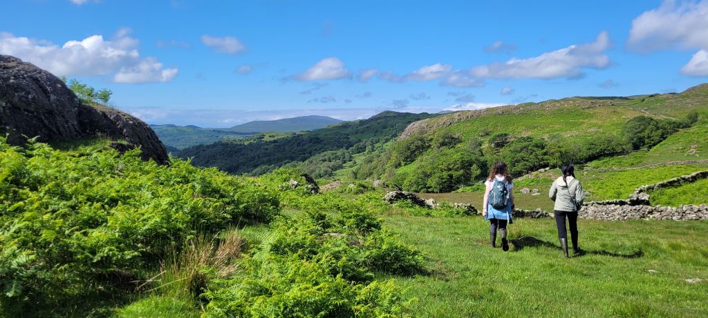 Upper Duddon Landscape Recovery Project celebrates first year