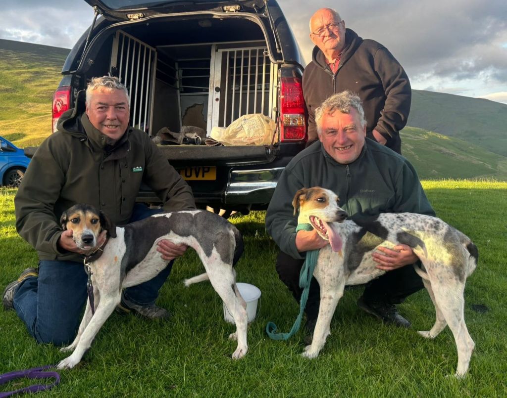 Hounds turn out at Latrigg for first time this season