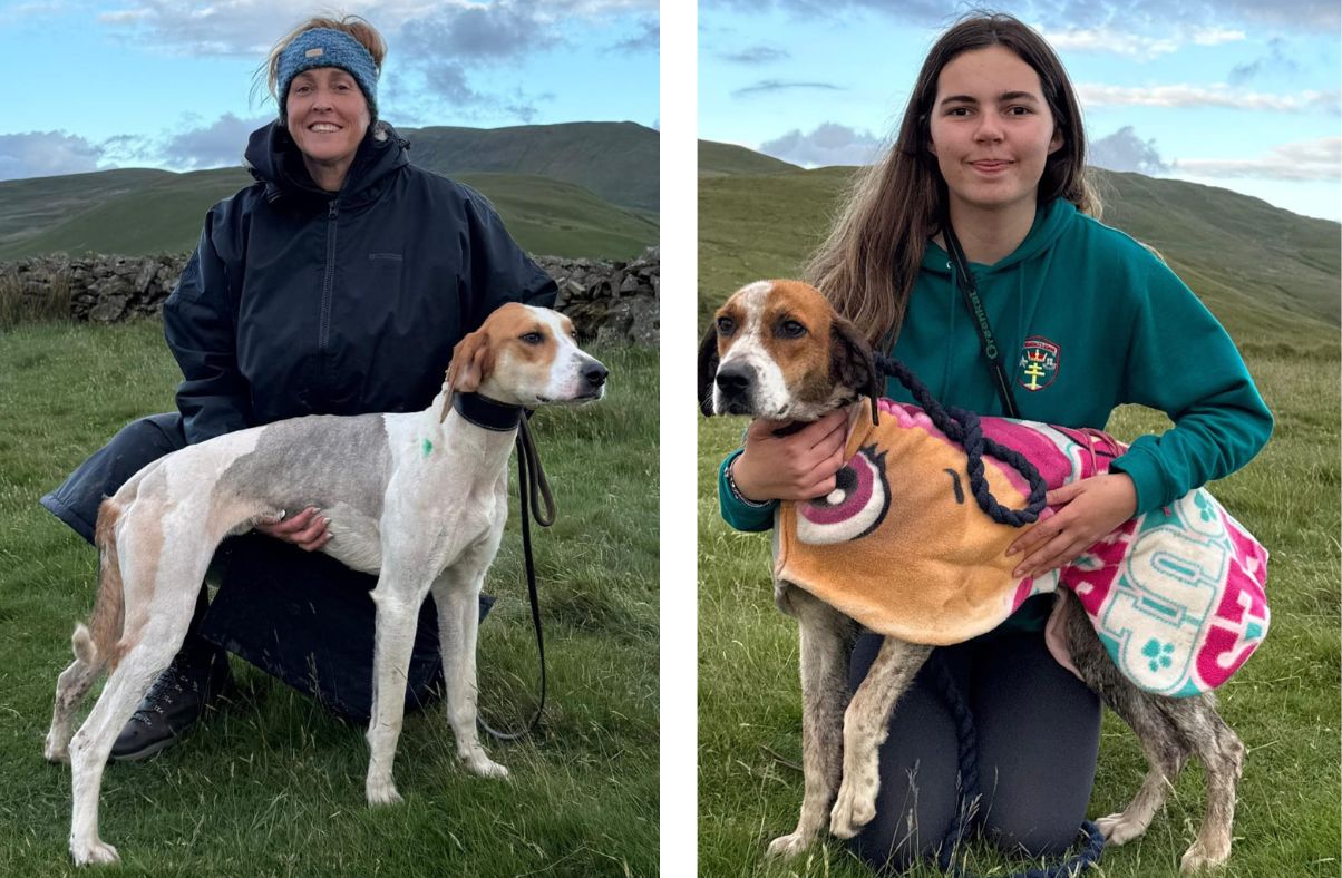 Hounds return to Kelton Fell for third time