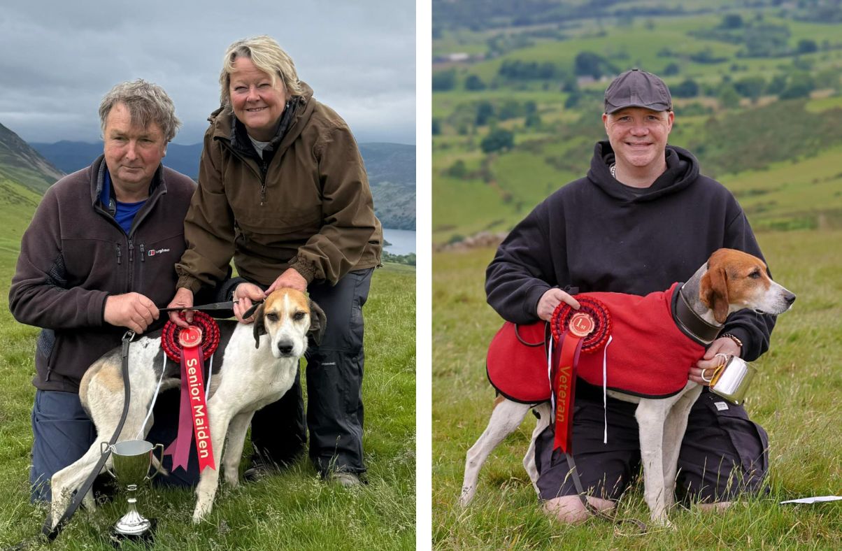 93 hounds compete at Kelton Fell