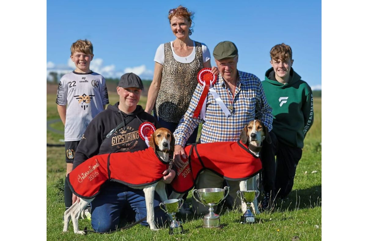 International hounds meeting double success for two kennels