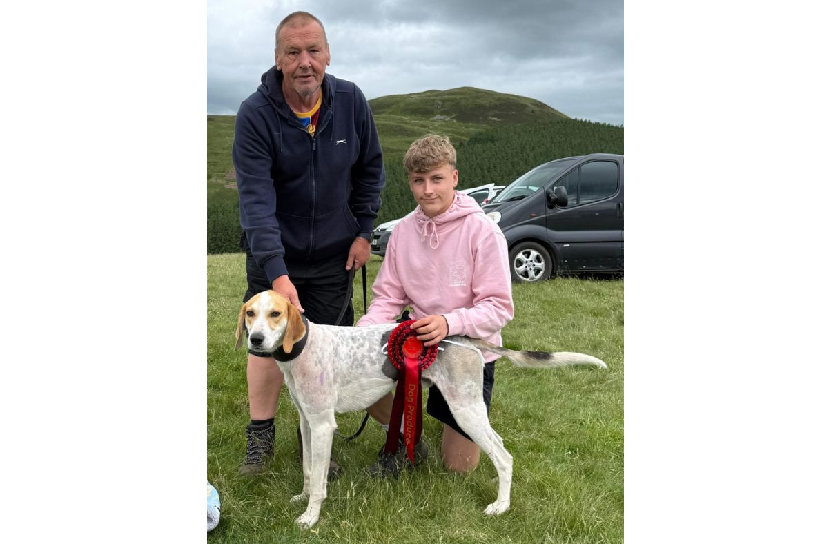 93 hounds compete at Kelton Fell