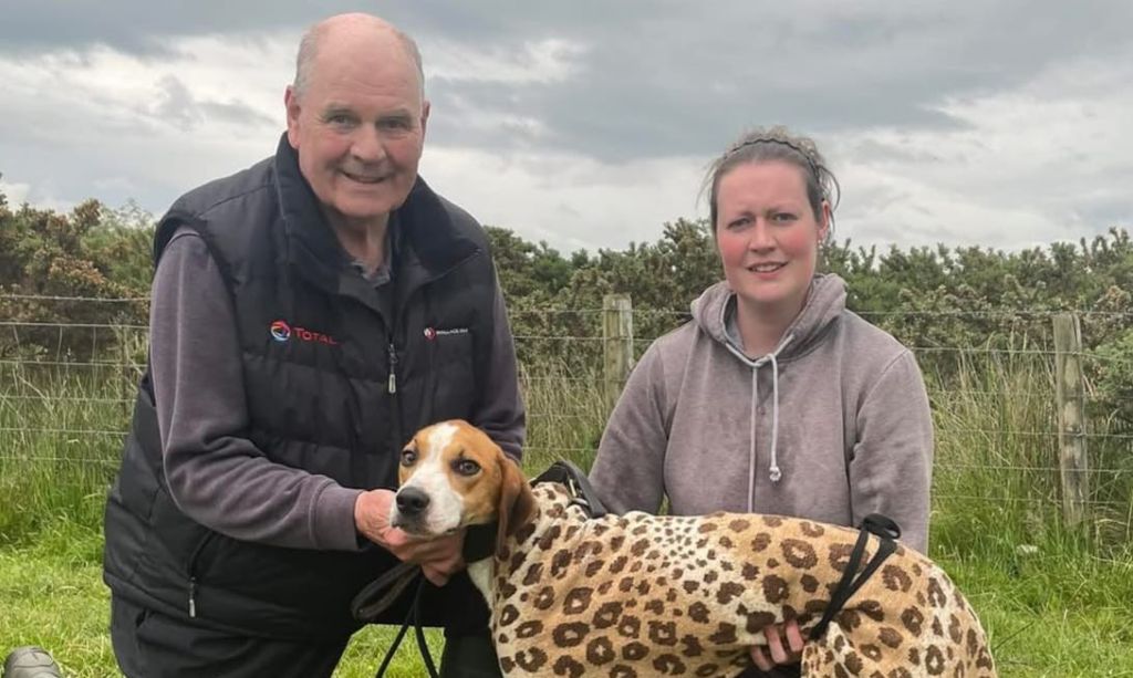 52 hounds compete at Walton Moss