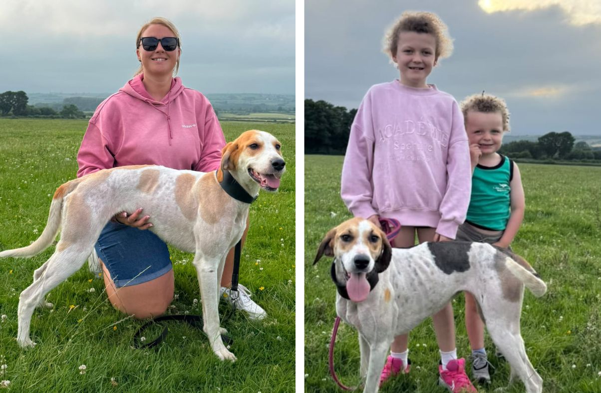 Hounds face the heat at Wardhall
