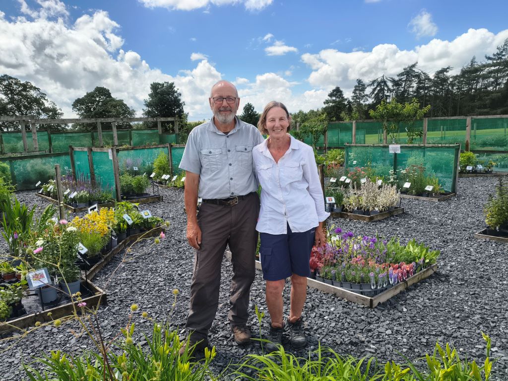 cumbrian-plant-nursery-on-market-for-200,000