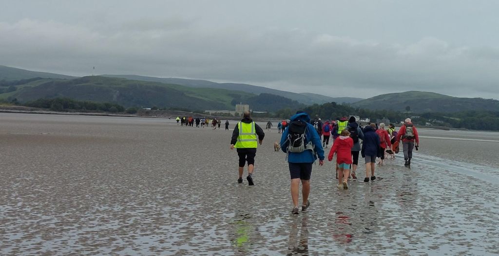 Guided Chapel Island walk to raise funds for Bay Hospitals Charity