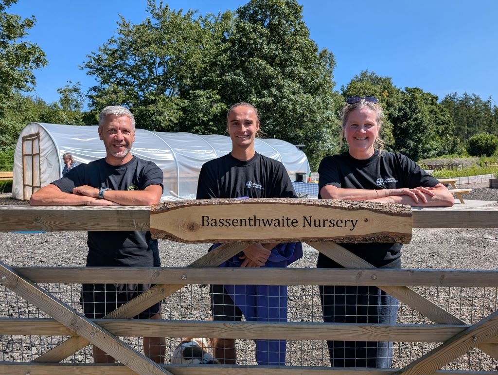 Tree nursery opens in Lake District for Skiddaw Forest’s future