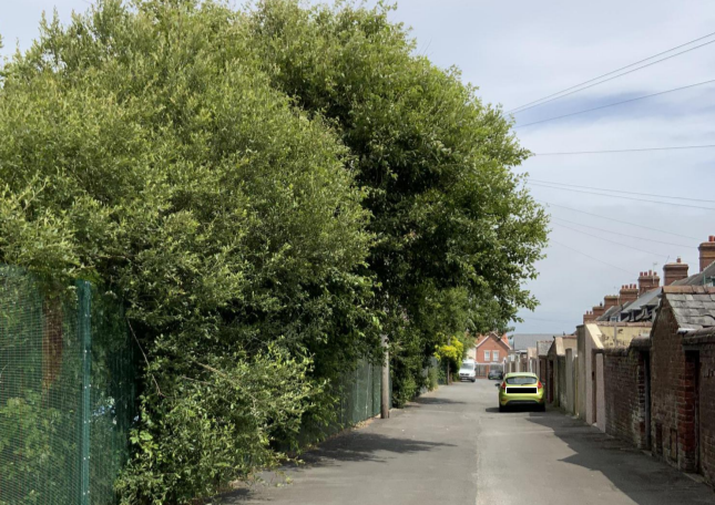 School trees damage bin lorries in Barrow