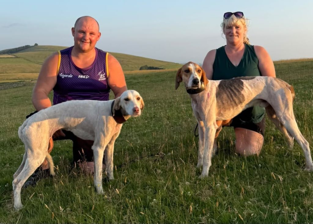 Cold Fell racing for hounds