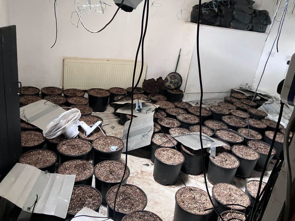 £450,000 cannabis farm found in Kirkby Stephen