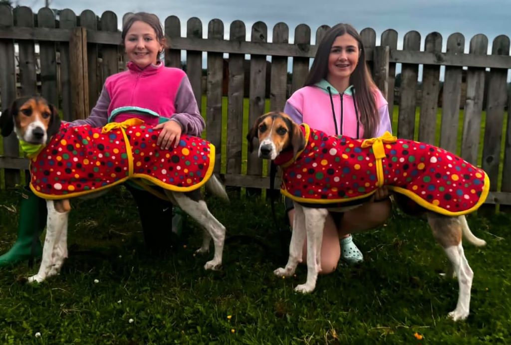 Hounds race at Moss Peteral