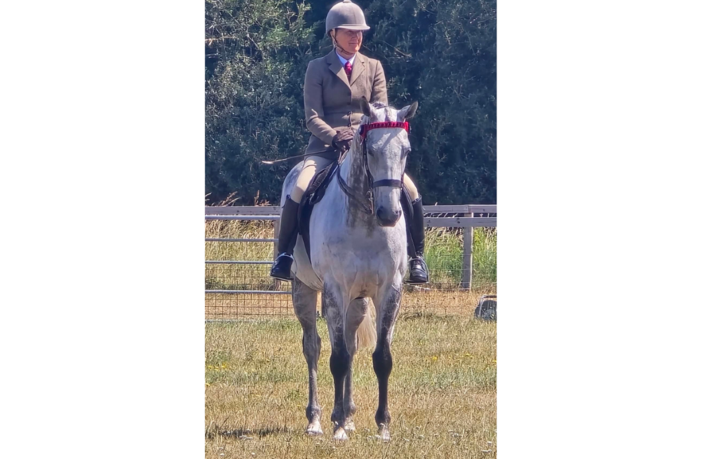 Wigton ex-racehorse qualifies for Horse of the Year Show