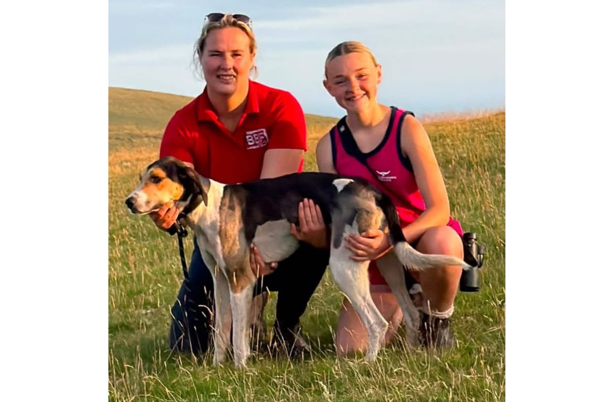 59 hounds turn out for Cold Fell meeting
