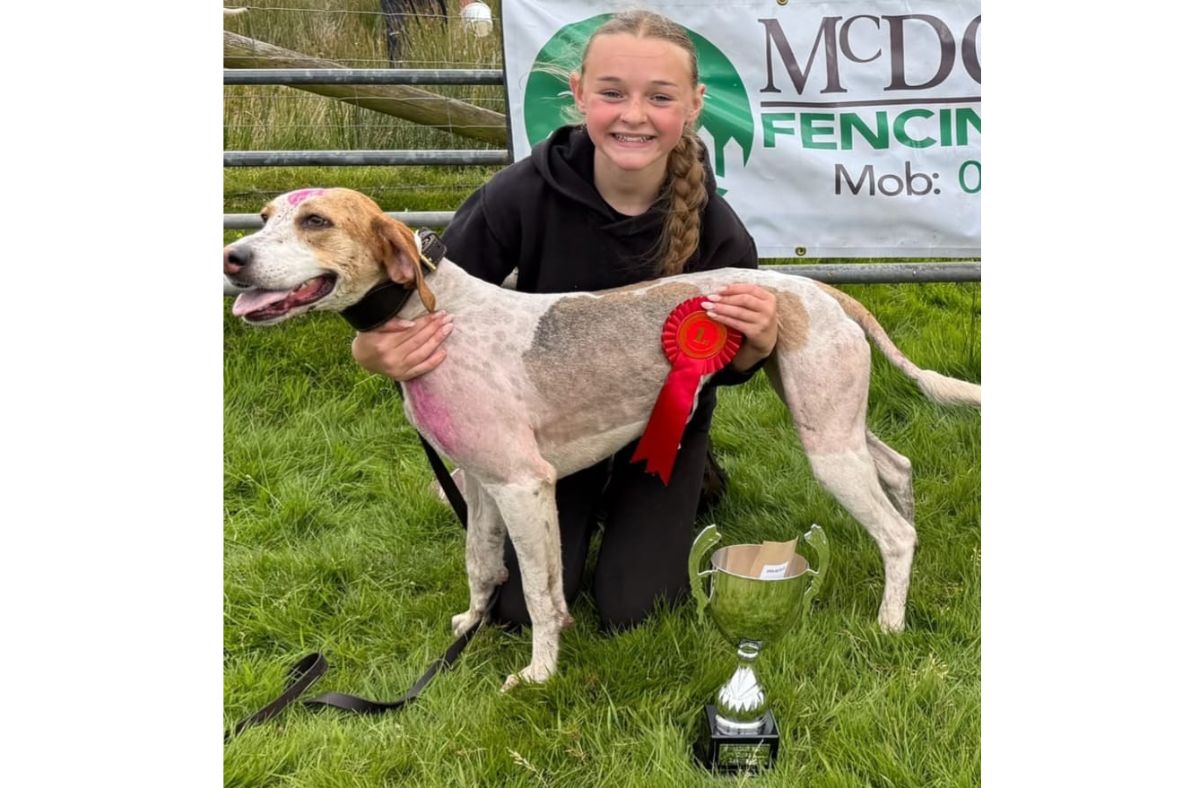 Hounds preview Uldale ahead of August Premier races